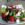 Leckerer Sommer-Salat